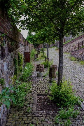 THUIN-BALADE-2016 OlivierRaucroix-25