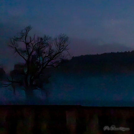 THUIN MUSEE-DU-TRAM OlivierRAUCROIX FC-1