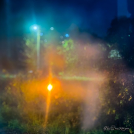 THUIN MUSEE-DU-TRAM OlivierRAUCROIX FC-4