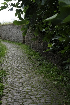 JeanLEROT-Thuin-EscaliersVenelles007