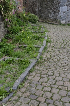 JeanLEROT-Thuin-EscaliersVenelles008