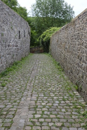 JeanLEROT-Thuin-EscaliersVenelles011
