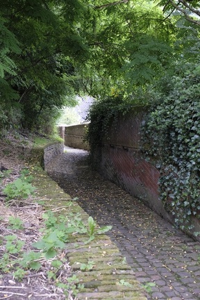 JeanLEROT-Thuin-EscaliersVenelles012