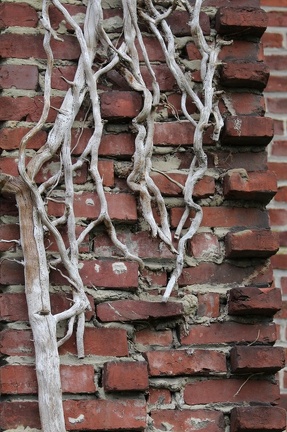 017-Abbaye d Aulne 03122012 0025