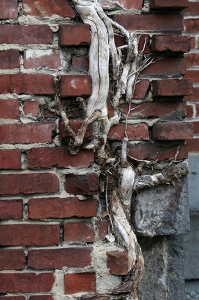 018-Abbaye d Aulne 03122012 0026