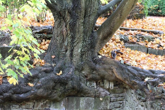 025 - Abbaye d Aulne 03122012