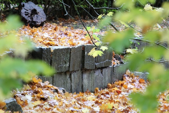 026 - Abbaye d Aulne 03122012