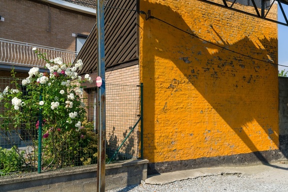 COULEURSVIVES-20250422-JVandenberg-3