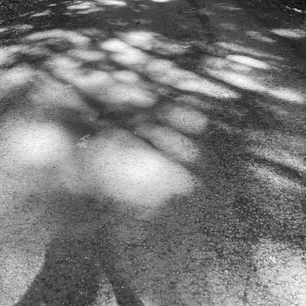 OmbresLumières-242500617-JVandenberg-2