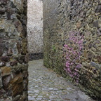 Thuin Ruelles